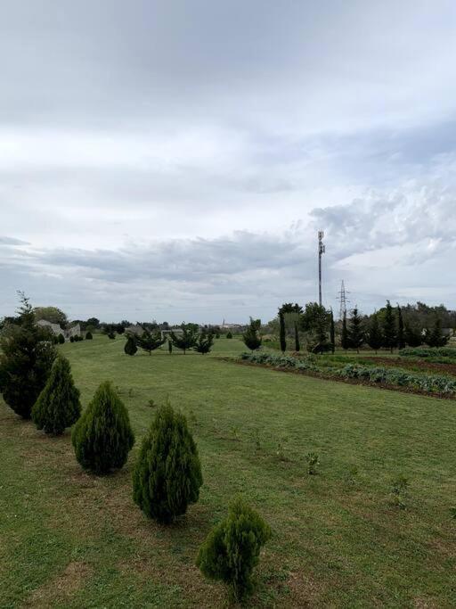 Fraschi Countryhouse Carpignano Salentino Exteriér fotografie